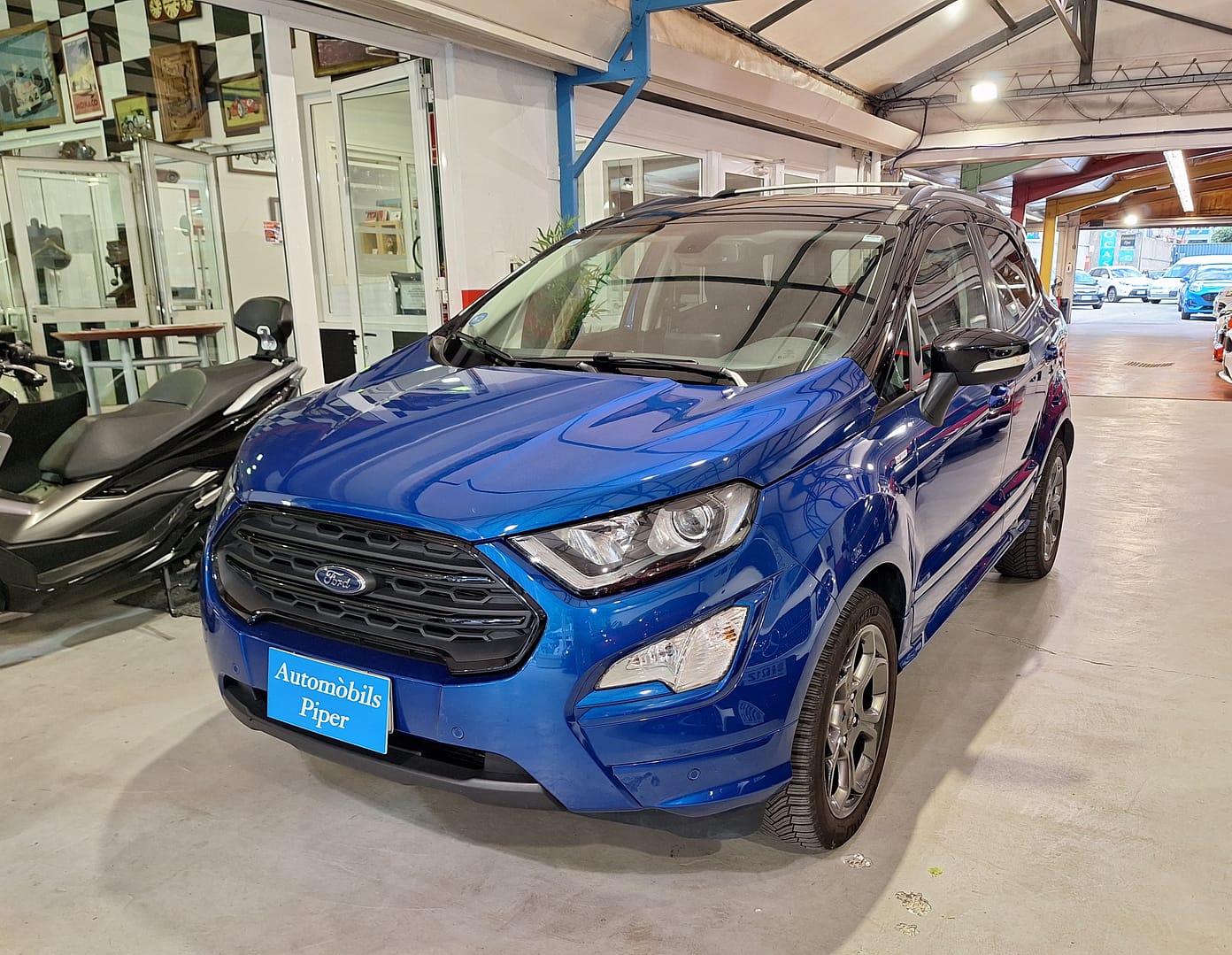 20251009_175528_4bd768e0ed20