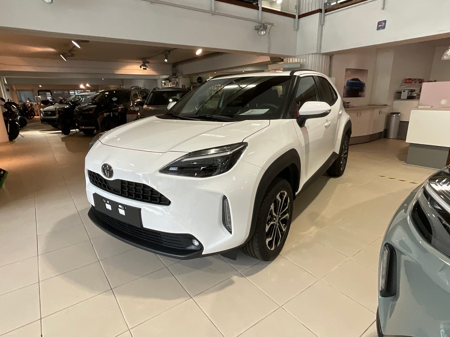 IMG_2695_cec2109cb612