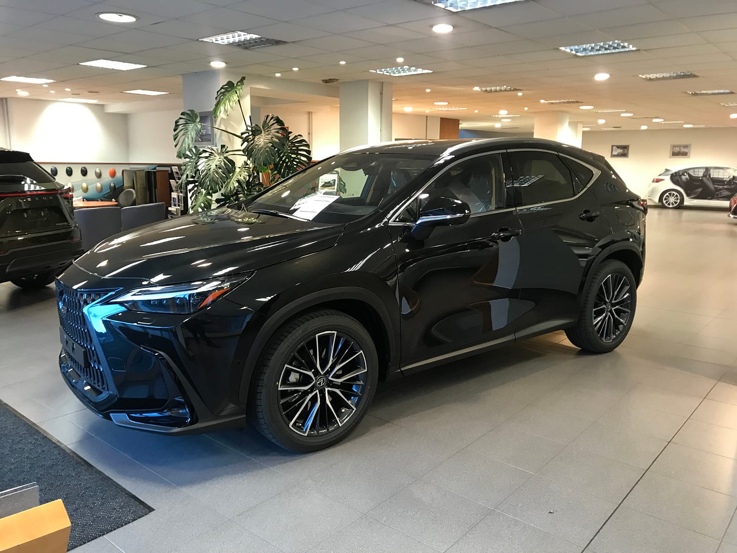 Lexus NX 450h+ SPORT EXECUTIVE