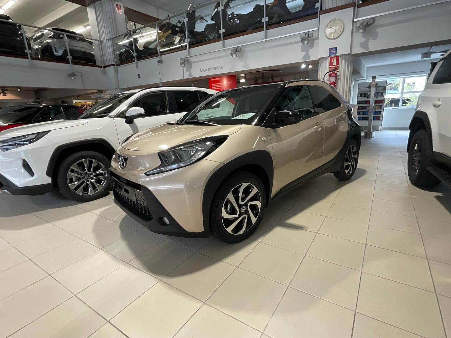 IMG_7685_5cae7569db04