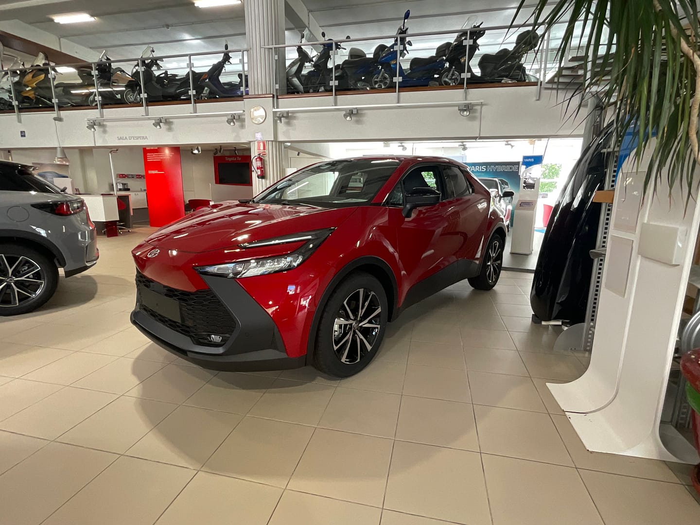 IMG_1030_9c0119c22d51