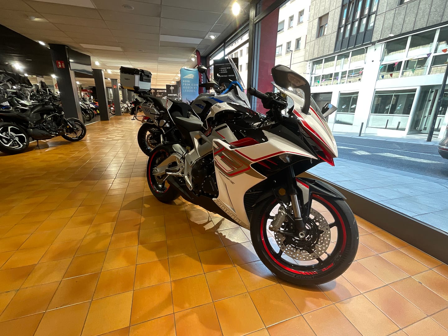 IMG_2006_30db84d53de7