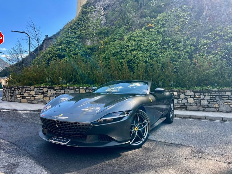 IMG_3246_476134ccbeec