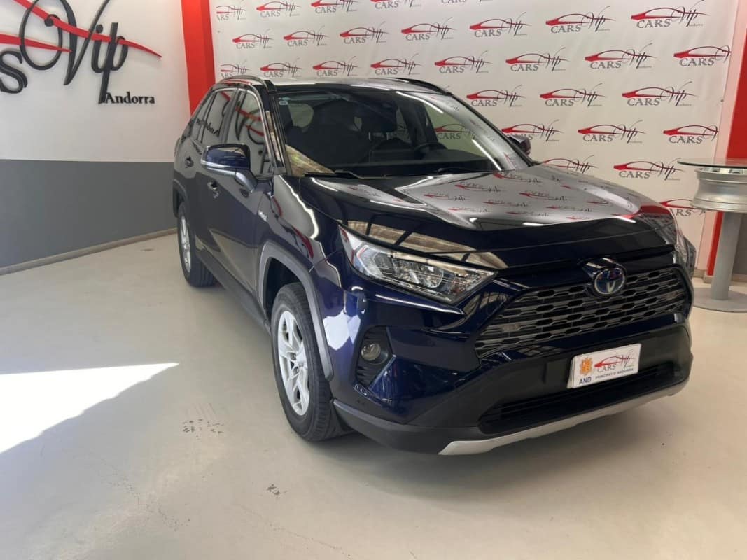 IMG_2988_e57818343c23