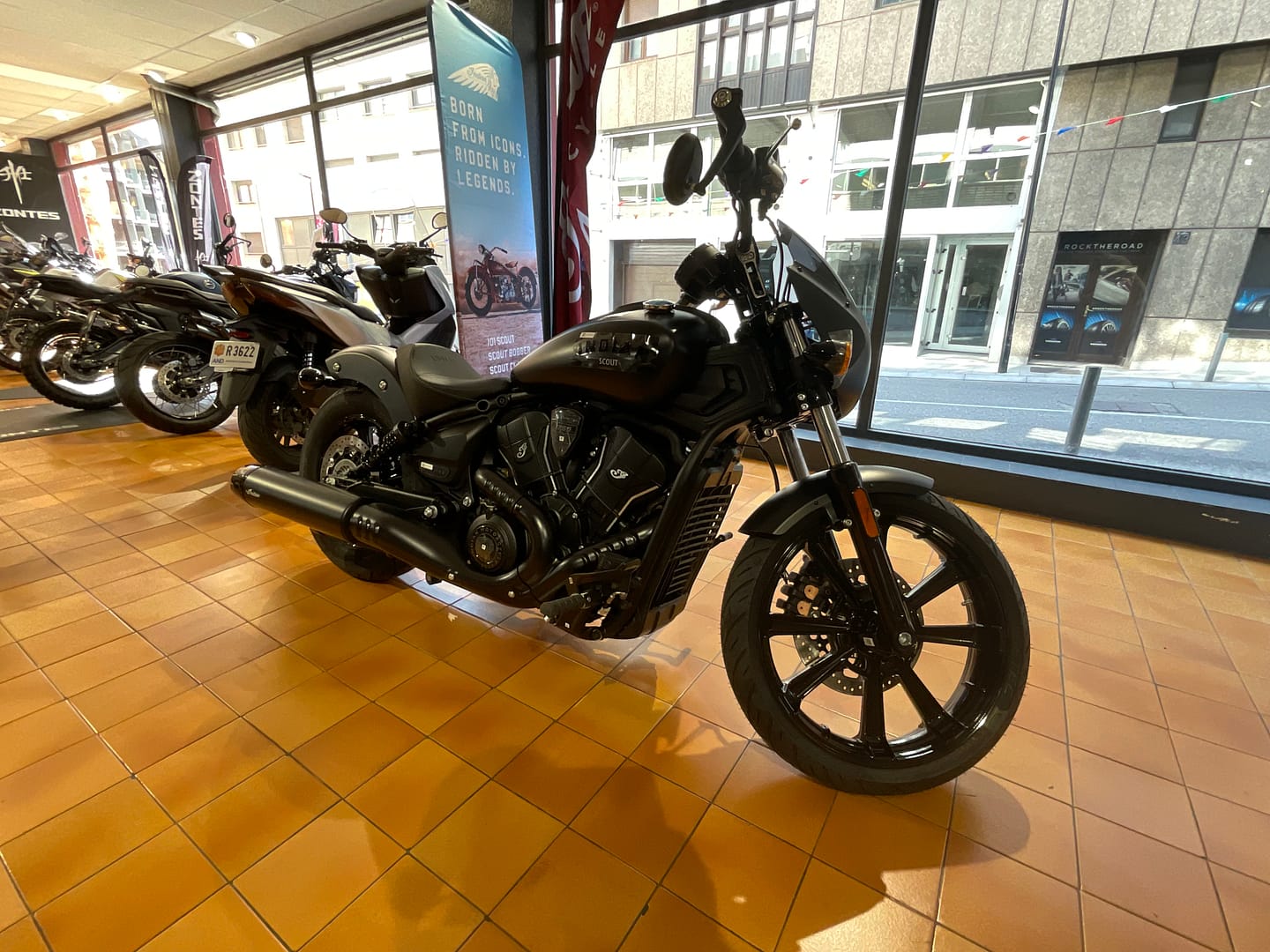 IMG_2027_1d5b6ca435d1