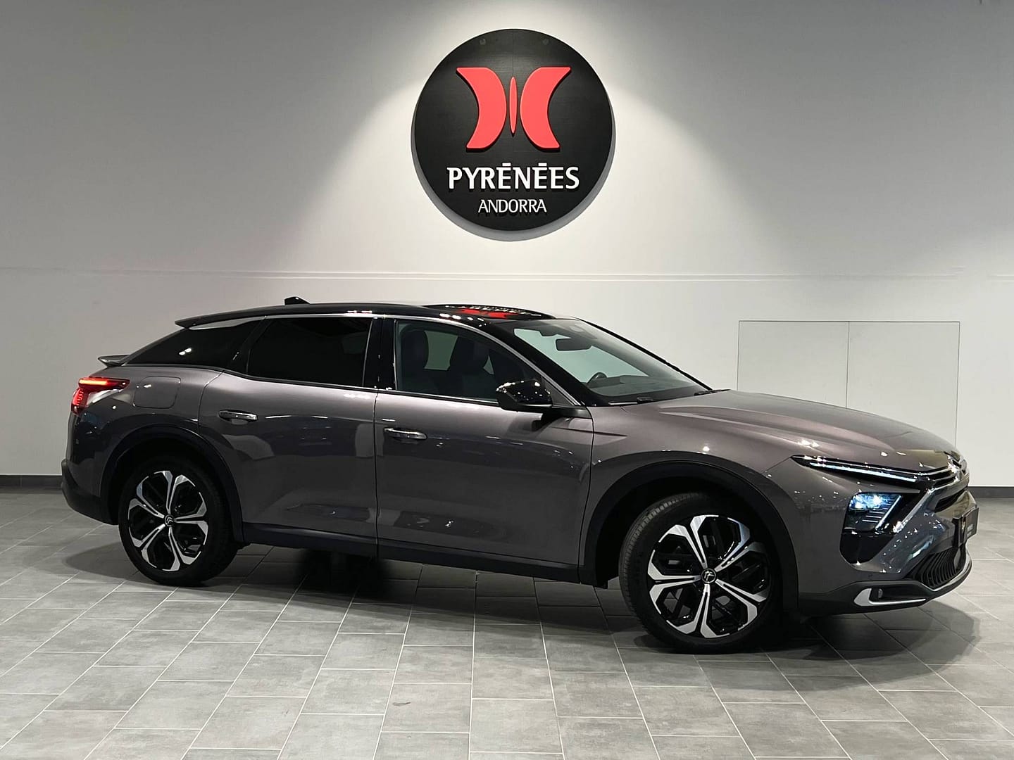 IMG_9258_54c4a488c39e