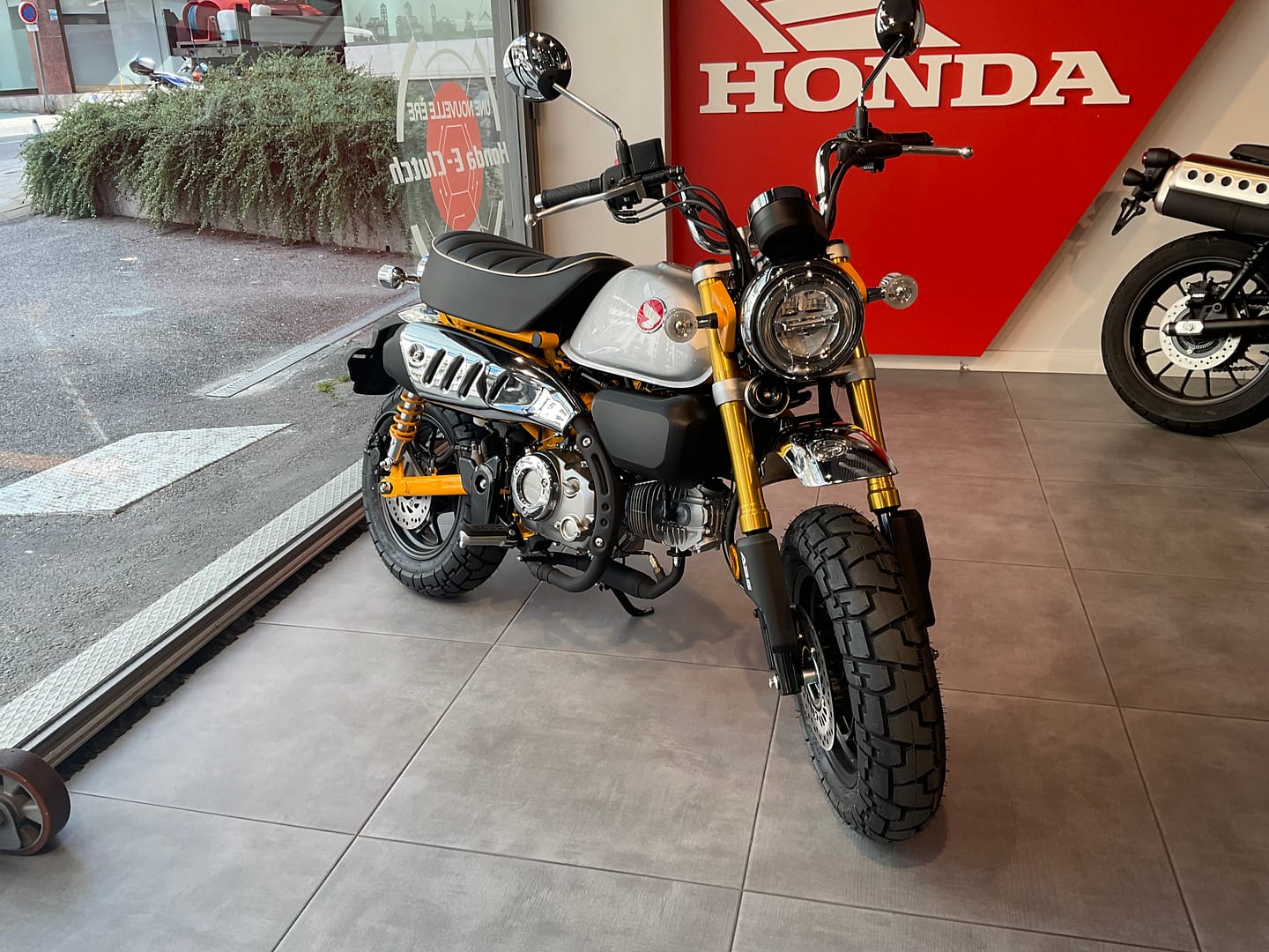 IMG_1552_183e43bd7bdf