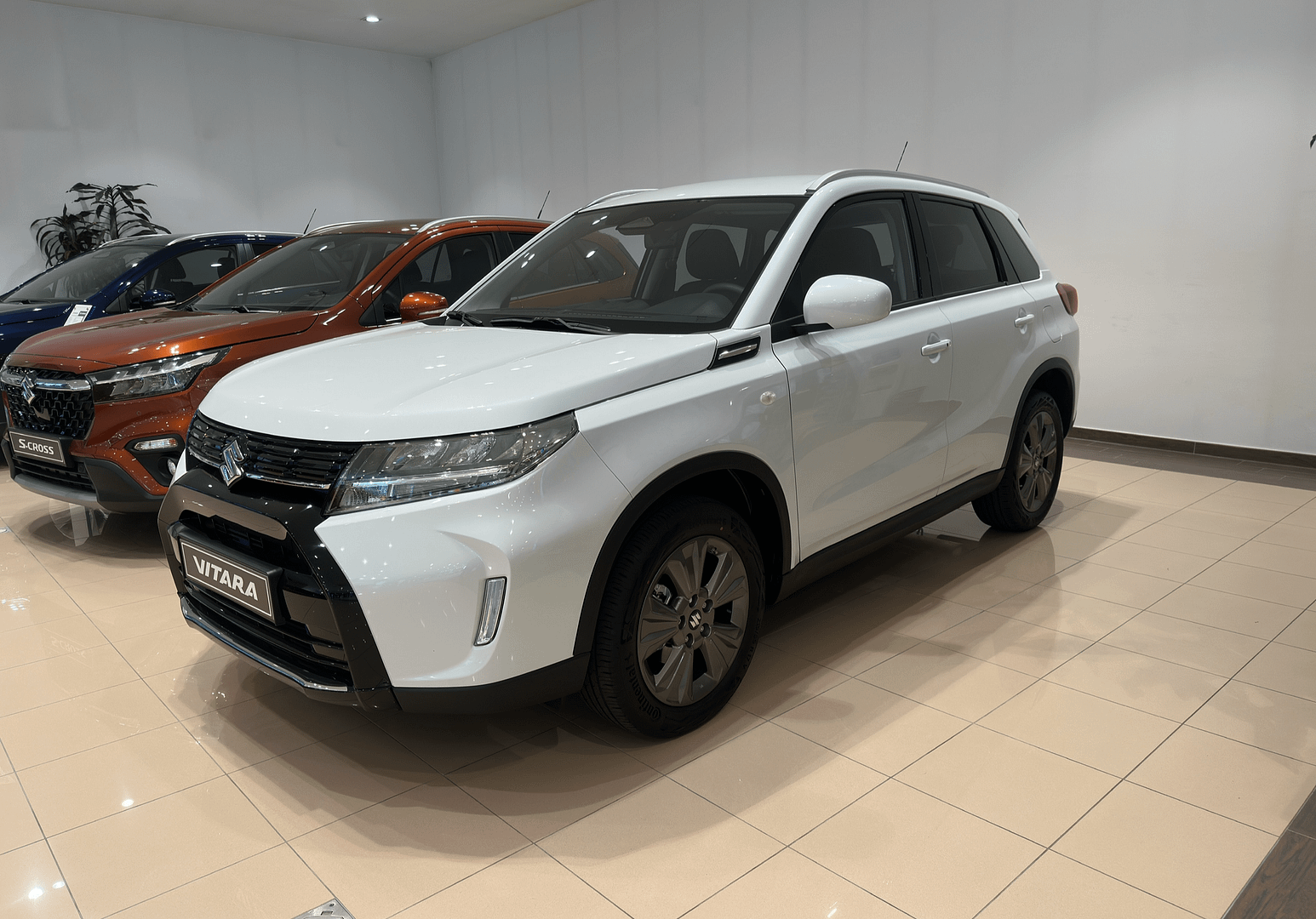 IMG_6621_e4b44768acfb