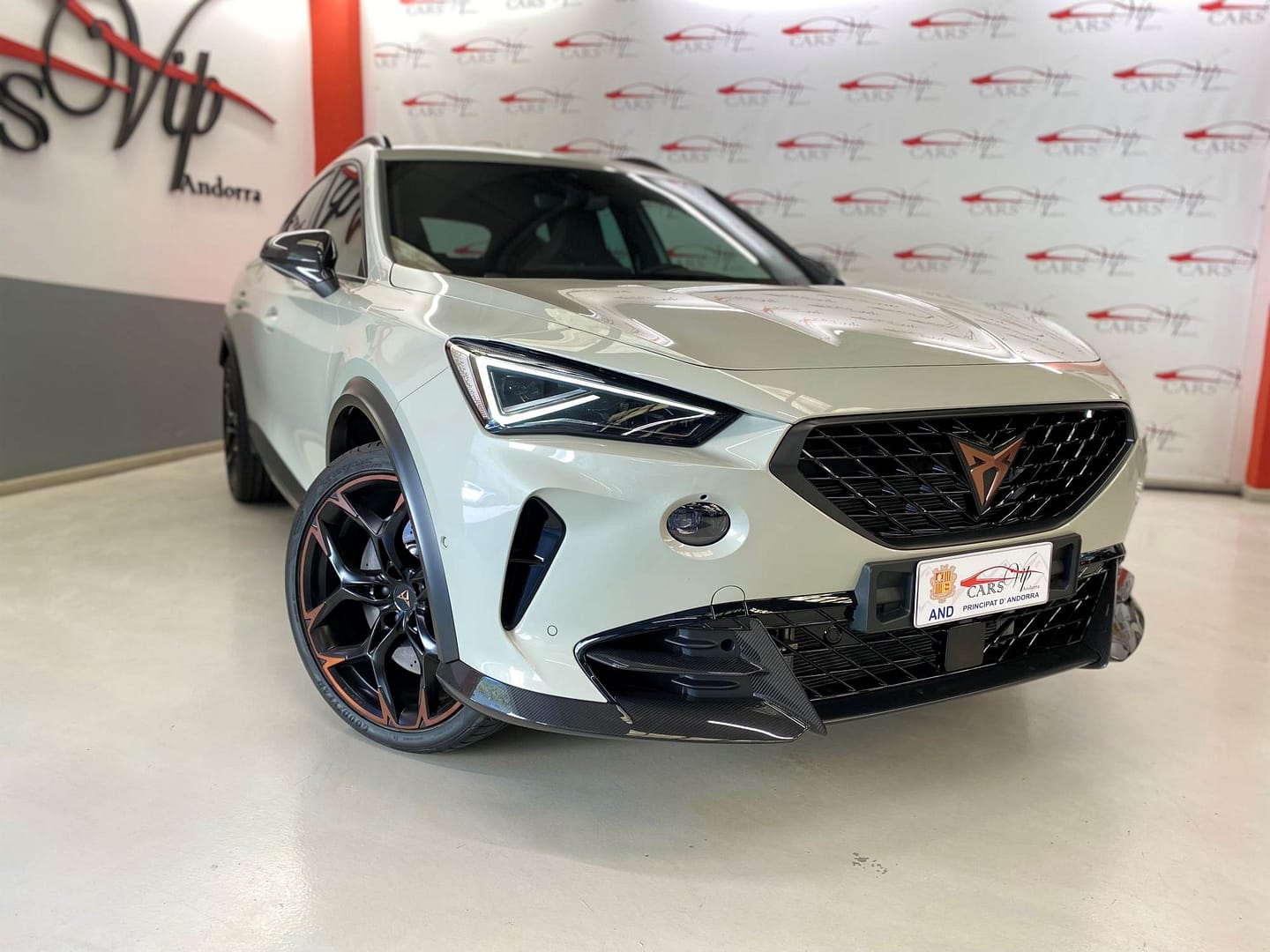 Cupra Formentor VZ5 2.5 Edició Limitada "Taiga Grey"