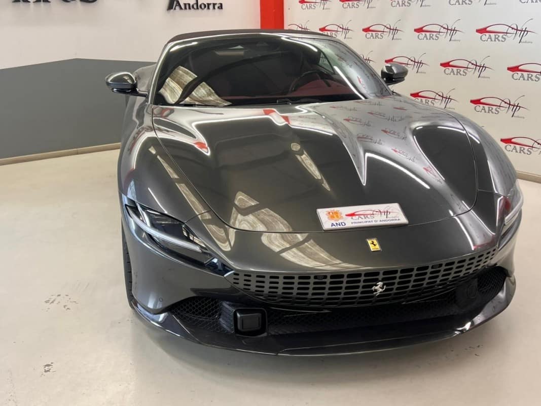 IMG_2906_d4fb98e8ef1e