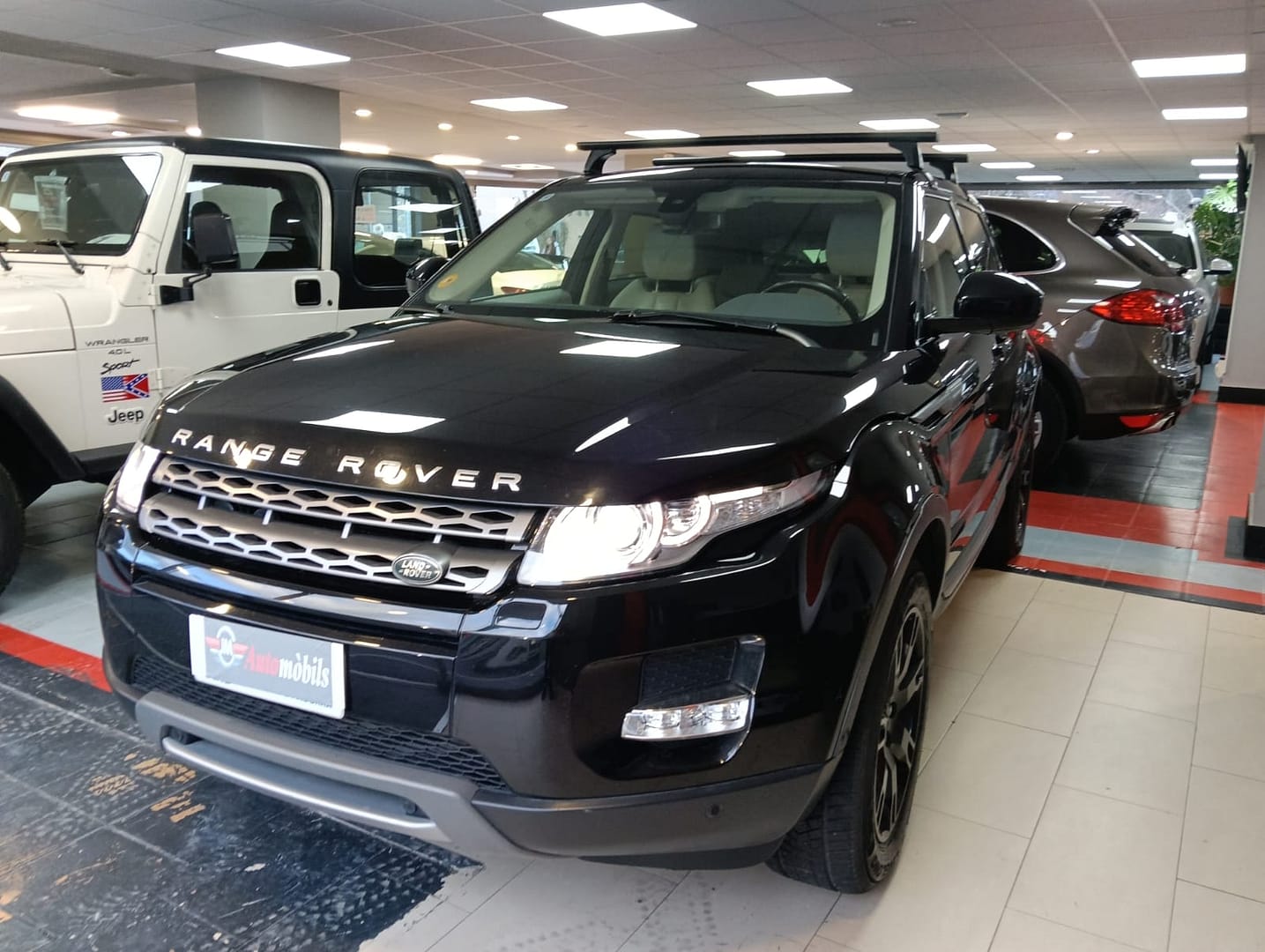 WhatsApp Image 2026-03-09 at 18.19.16 (1)_39931c6783ae