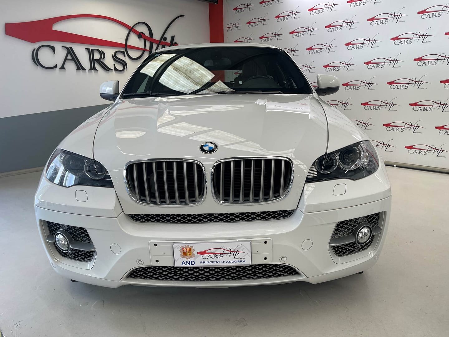 BMW X6 Active hybrid