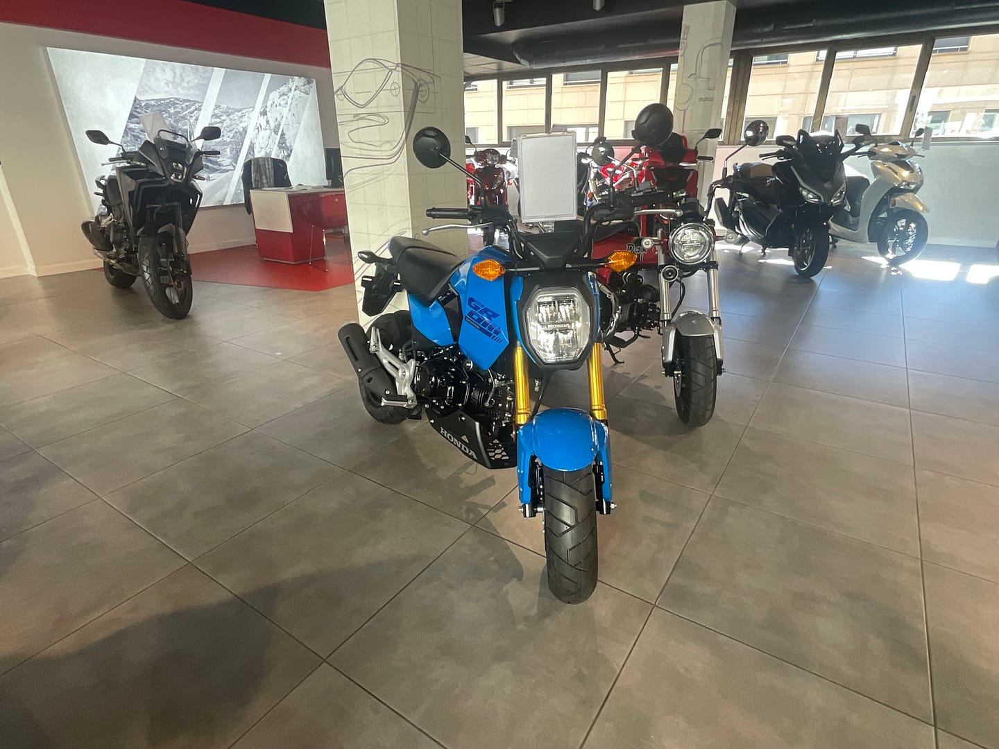 IMG_1692_282f526005b0