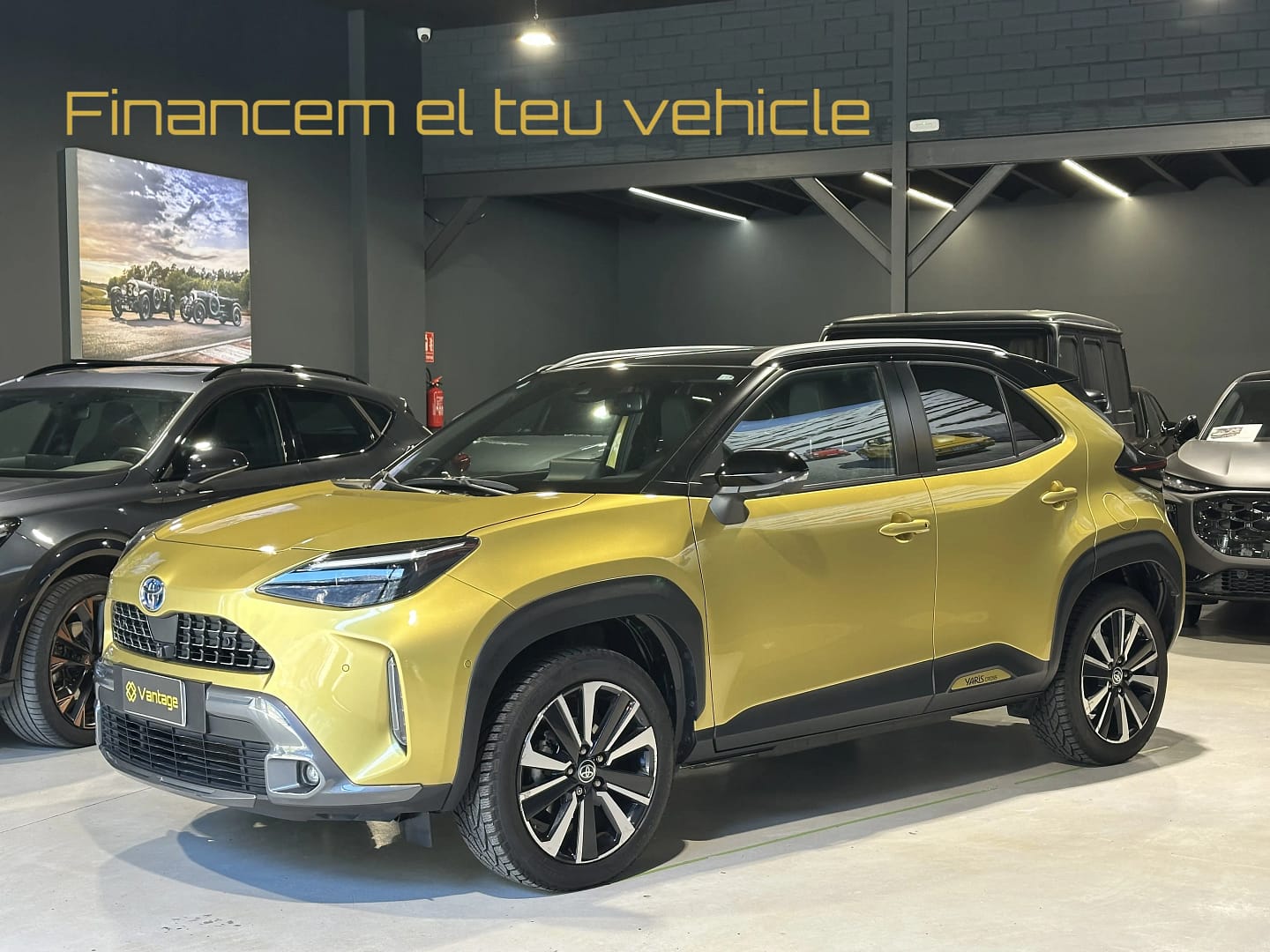 gallery-image-1776185003