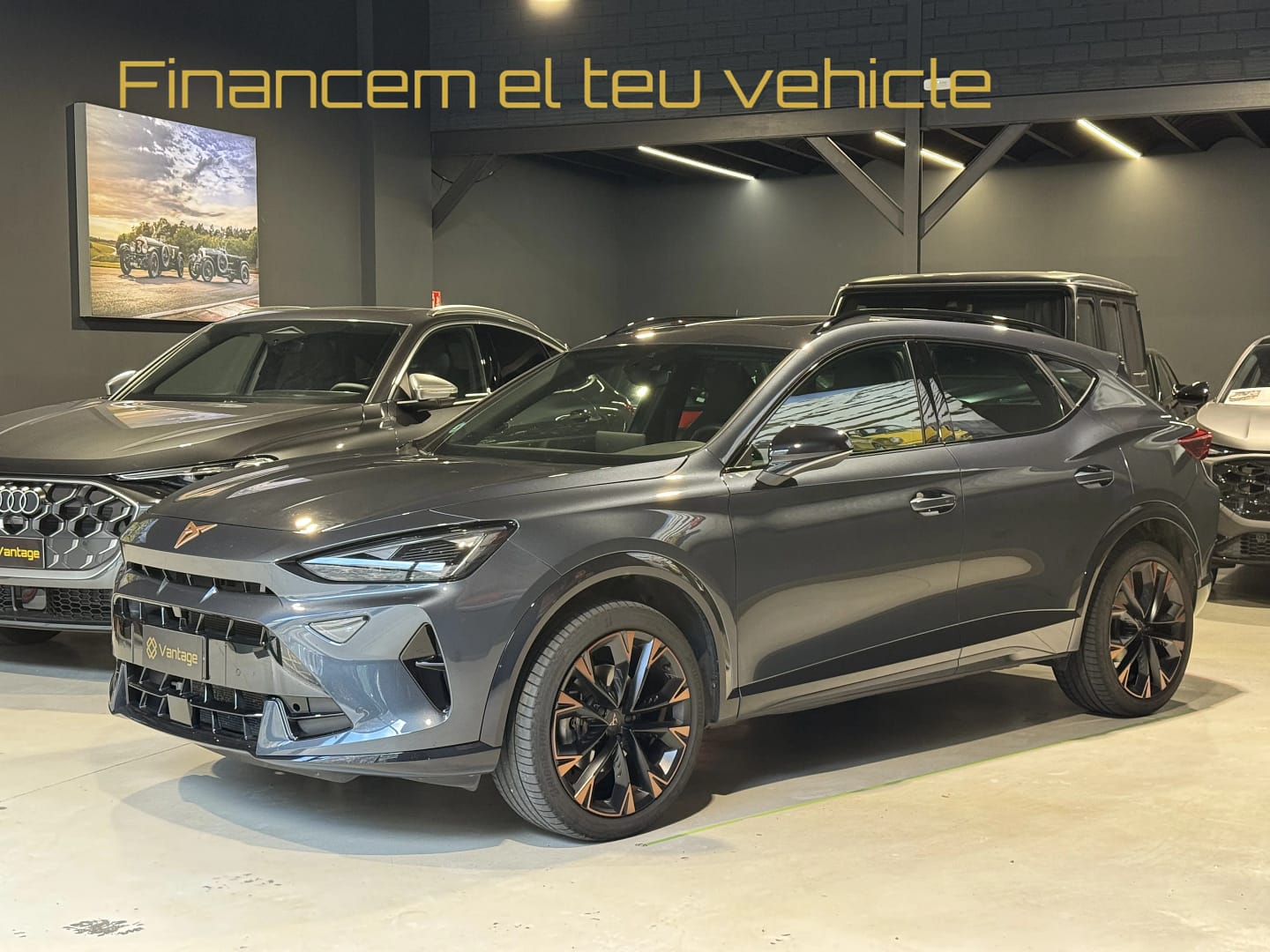 gallery-image-1775813023