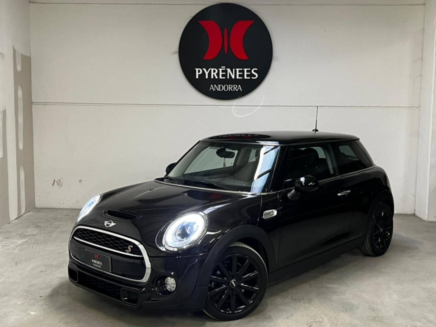 IMG_0097_650426d92942