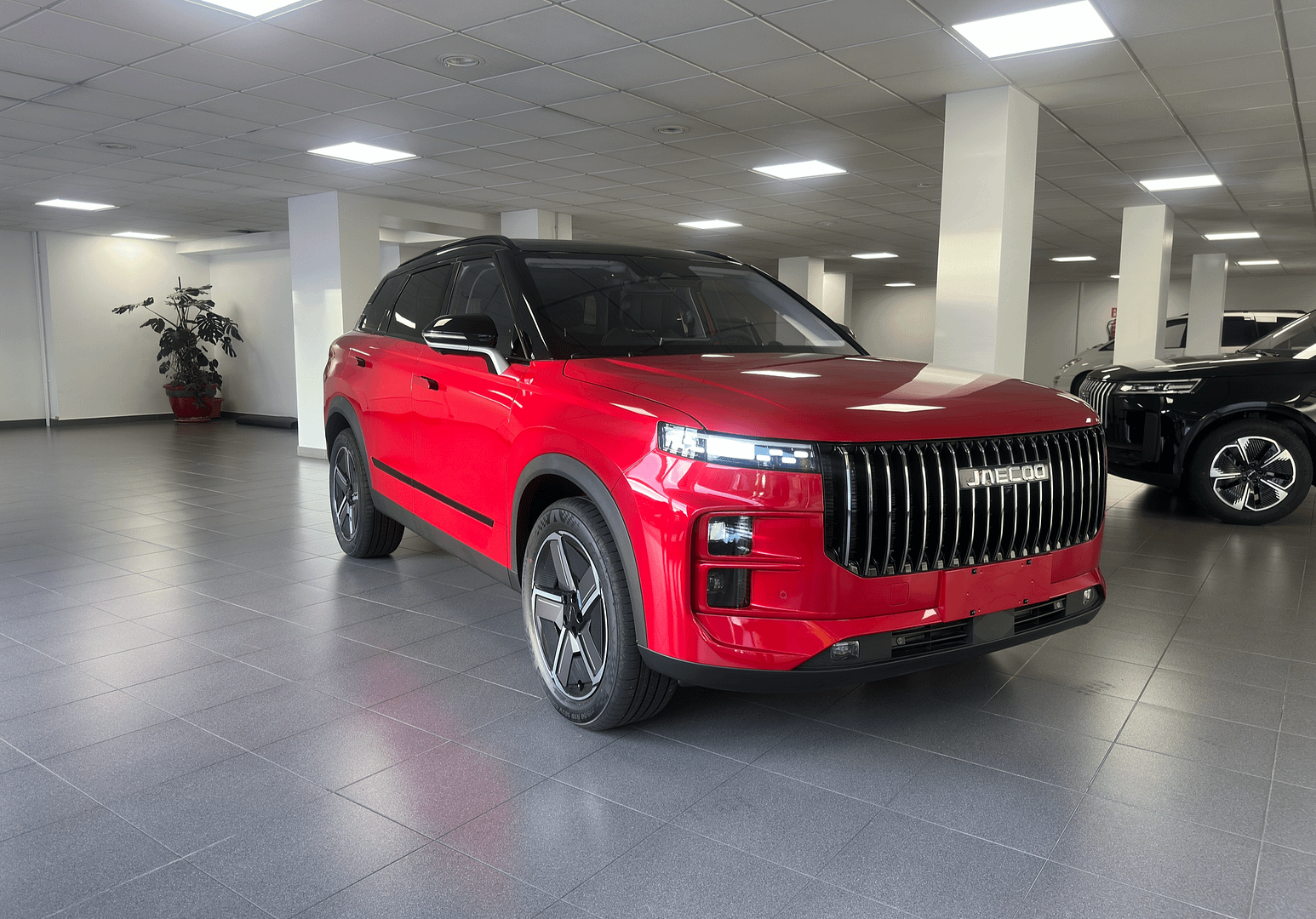 IMG_6040_b71e84c1f203