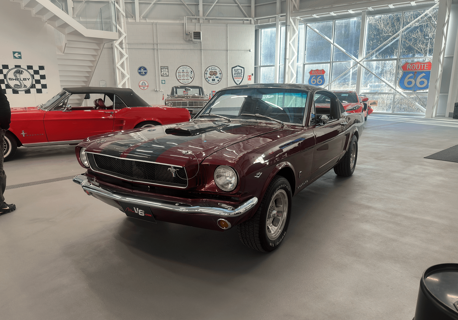 IMG_9829_64b14fcb77e9