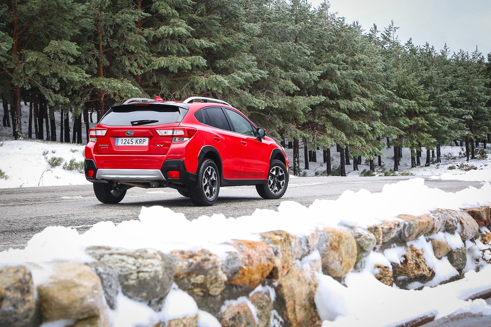 Vista posterior de l’XV