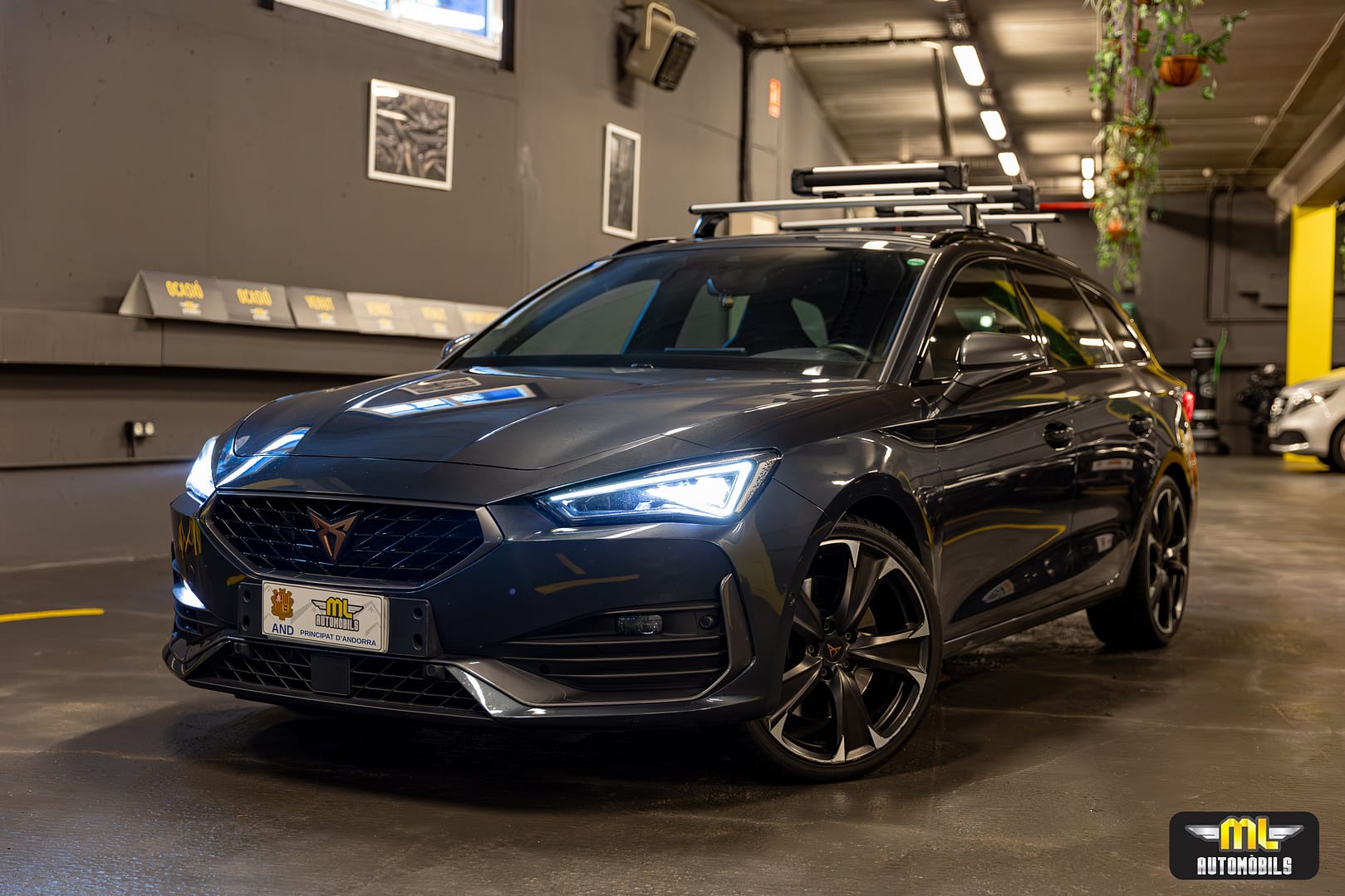 2L7A5201-Mejorado-NR_a60fea9337e0