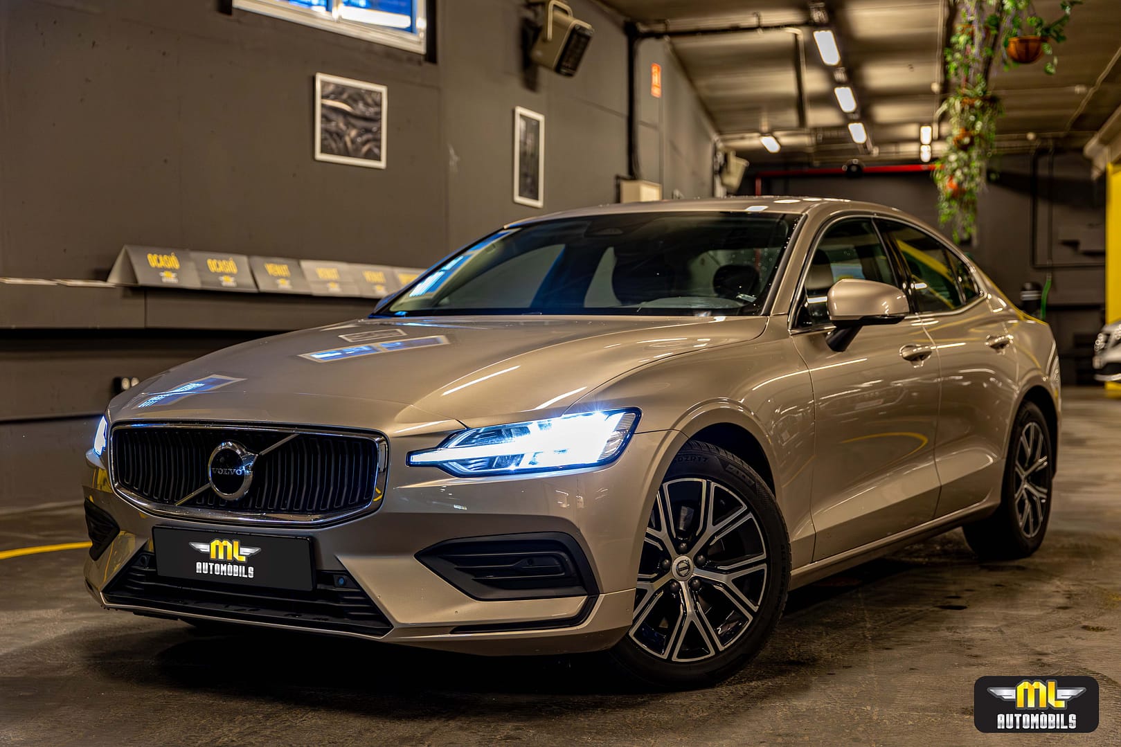 2L7A5340-Mejorado-NR_865b77f439ee