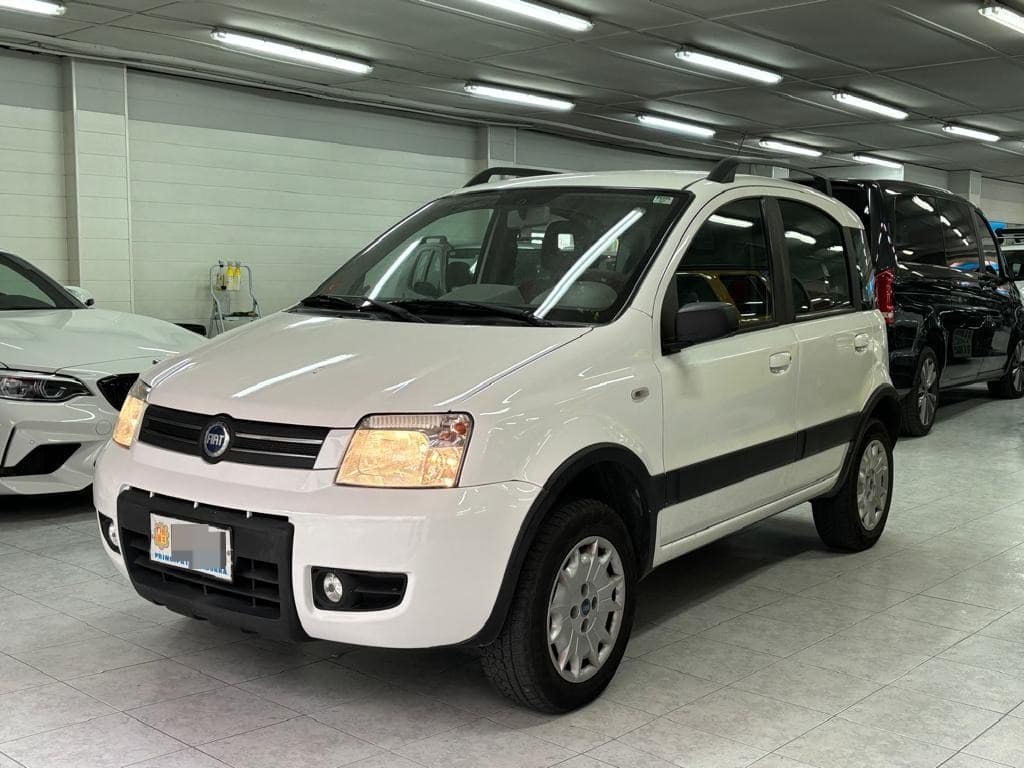 Fiat Panda 1.2 4X4