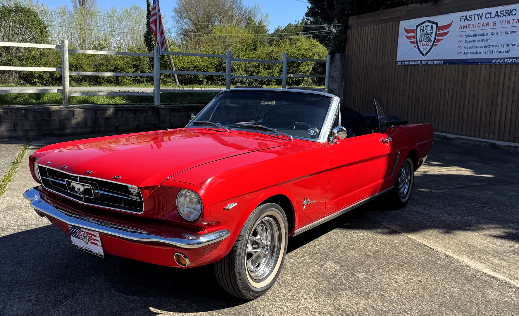 IMG_6248_2728db9b4f38