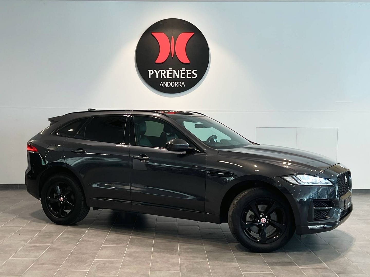 IMG_8561_741d28b3c09a