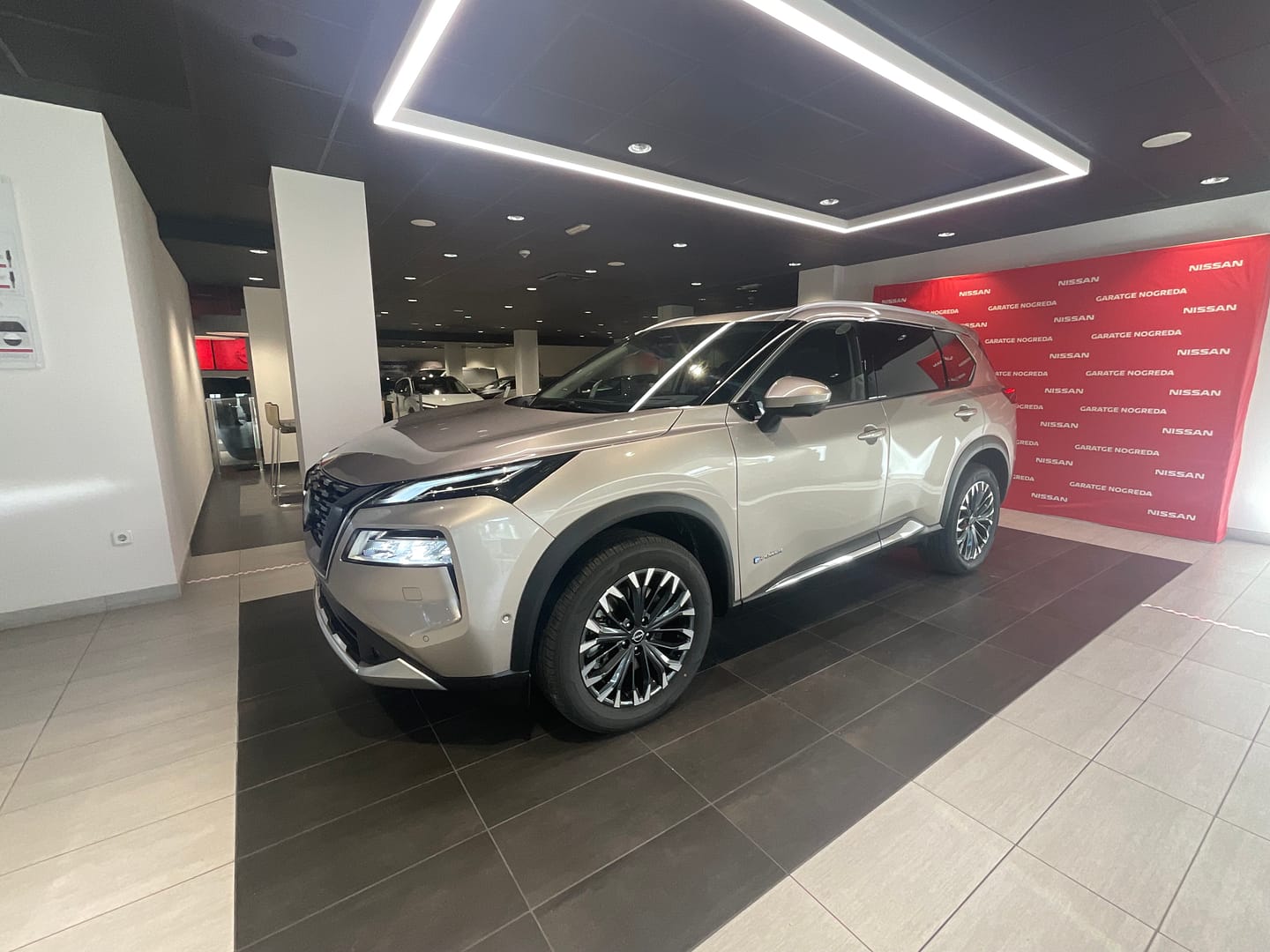 IMG_0455_ee0423e56e64