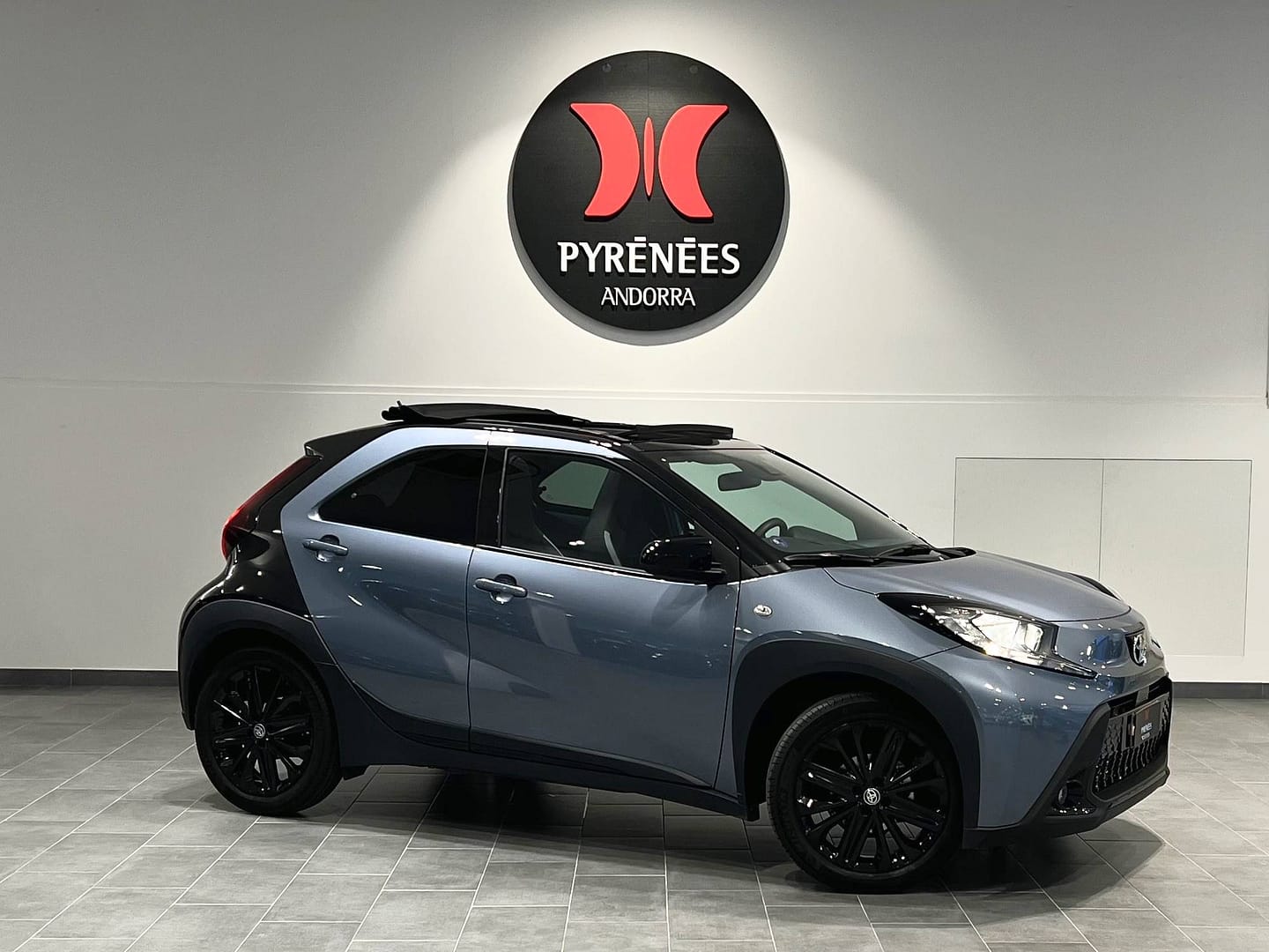 IMG_6328_447220e60fc5