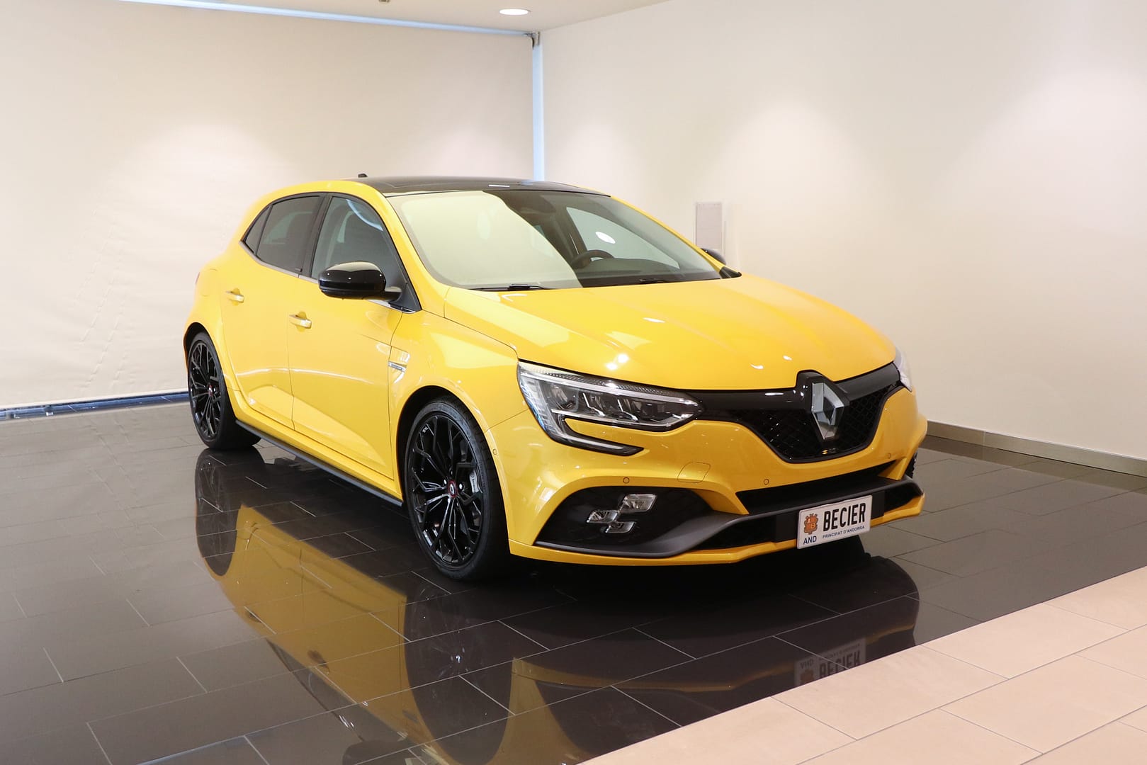 Renault Megane RS TCE 221 KW EDC GPF