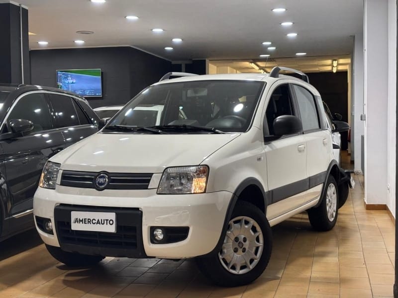 FIAT-PANDA-4X4-Foto-1_b7938e0b88f4