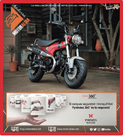 REVISTA MOTOR 243