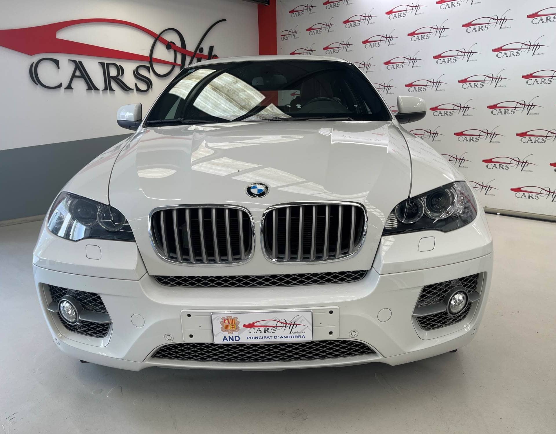 BMW X6 Active hybrid